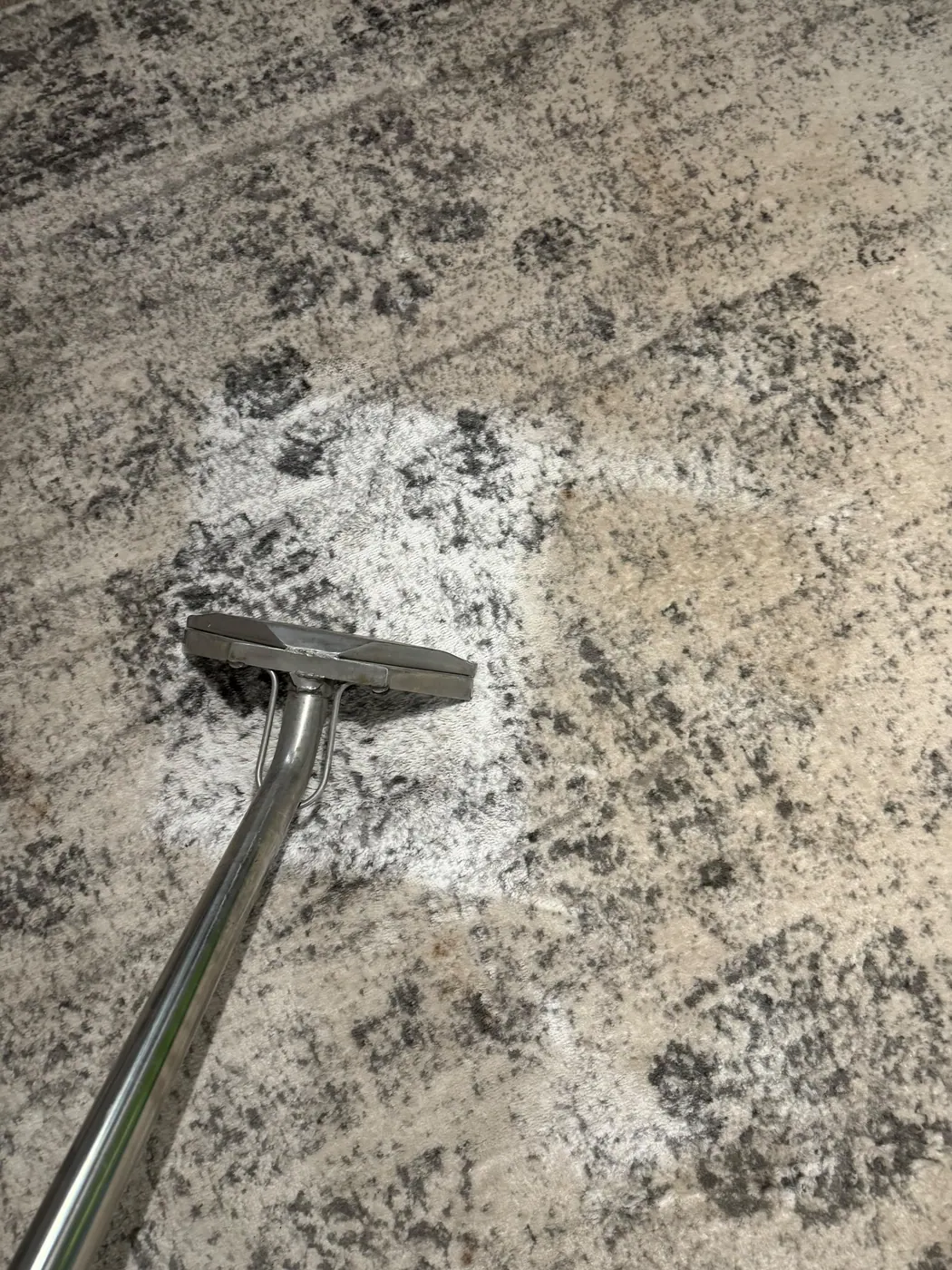 Real First Choice Floor Care carpet cleaning project photo 1